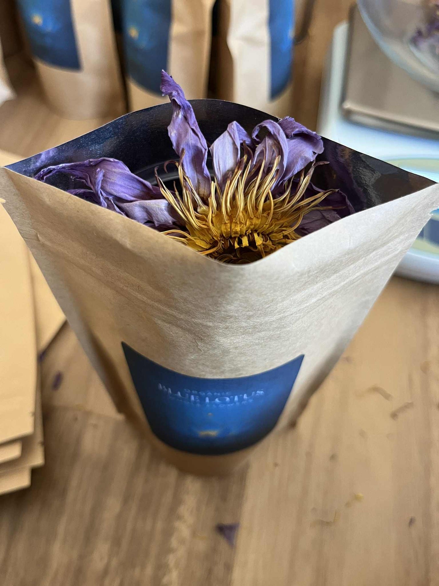 Whole Blue Lily Flowers (Nymphaea caerulea)